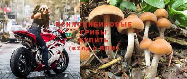каннабис Арсеньев