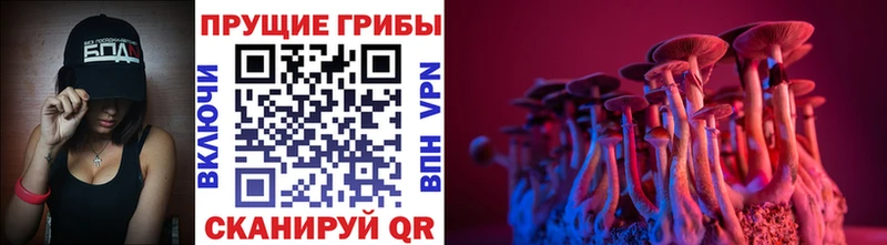 Галлюциногенные грибы ЛСД  гидра ссылка  Ленинск  как найти  